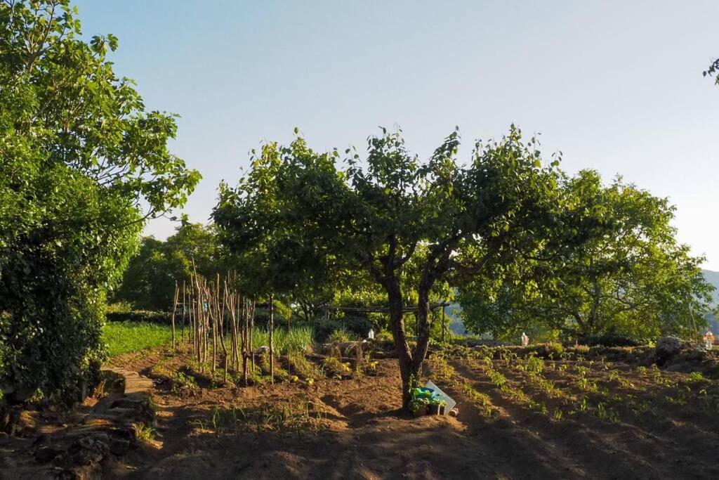 Appartamento El Bosque De Los Romanos Puerto de Béjar Esterno foto