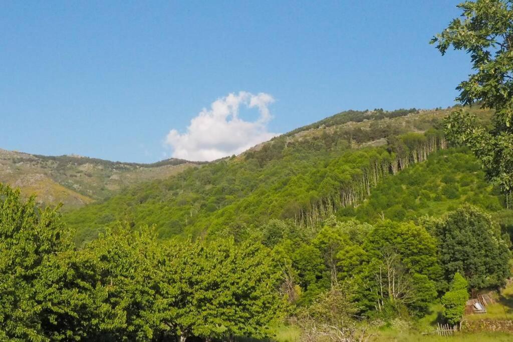 Appartamento El Bosque De Los Romanos Puerto de Béjar Esterno foto